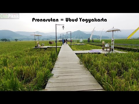 Healing di Pronosutan View, Nanggulan | Mahaloka Paradise | Iwak Kalen Banyu Bening