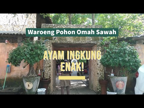 Waroeng Pohon Omah Sawah, Bantul: Ayam Ingkungnya Enak!